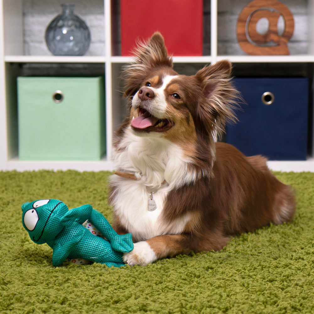GoDog Amphibianz Chameleon Teal – compagnon cuddly parfait pour le chien et le maître.