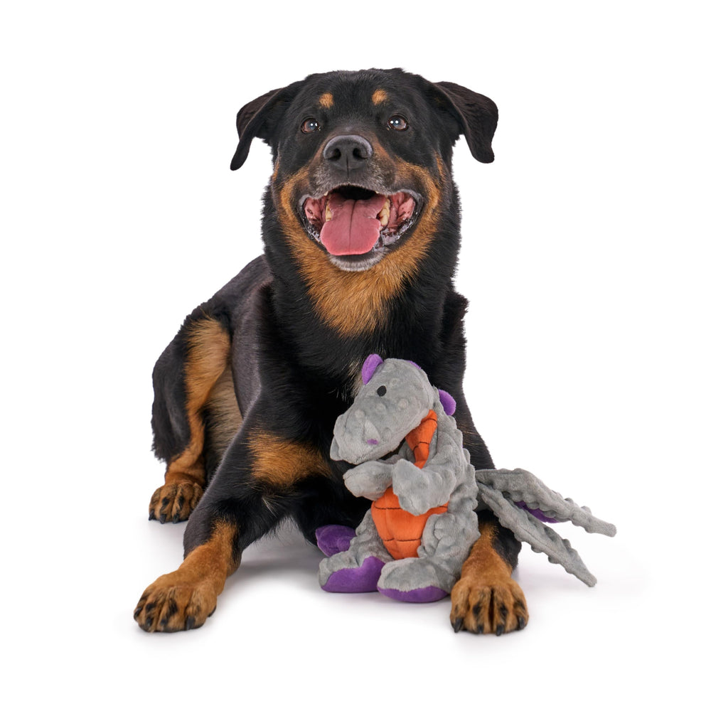 Jouet goDog pour séances de jeu quotidiennes et détente du chien gris.