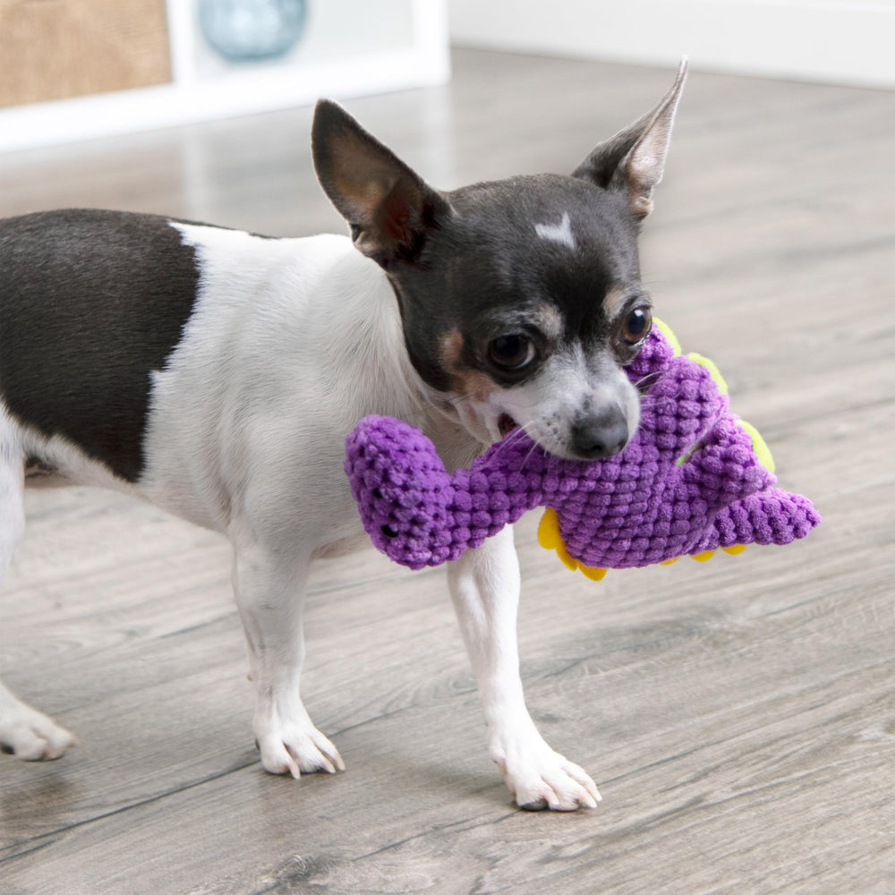 GoDog Checkers Dinos Bruto Mini Violet jouet violet attrayant pour chiens joueurs