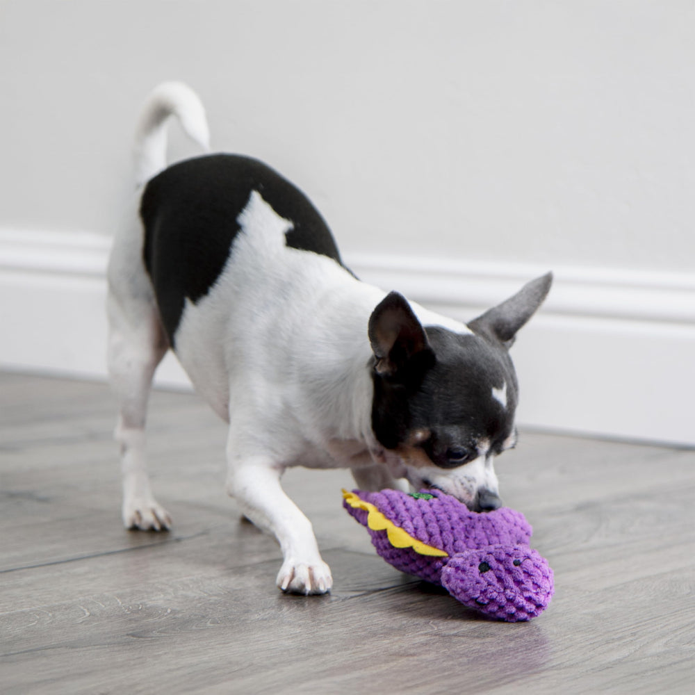 GoDog Checkers Dinos Bruto Mini Violet sifflet intégré pour stimuler le jeu