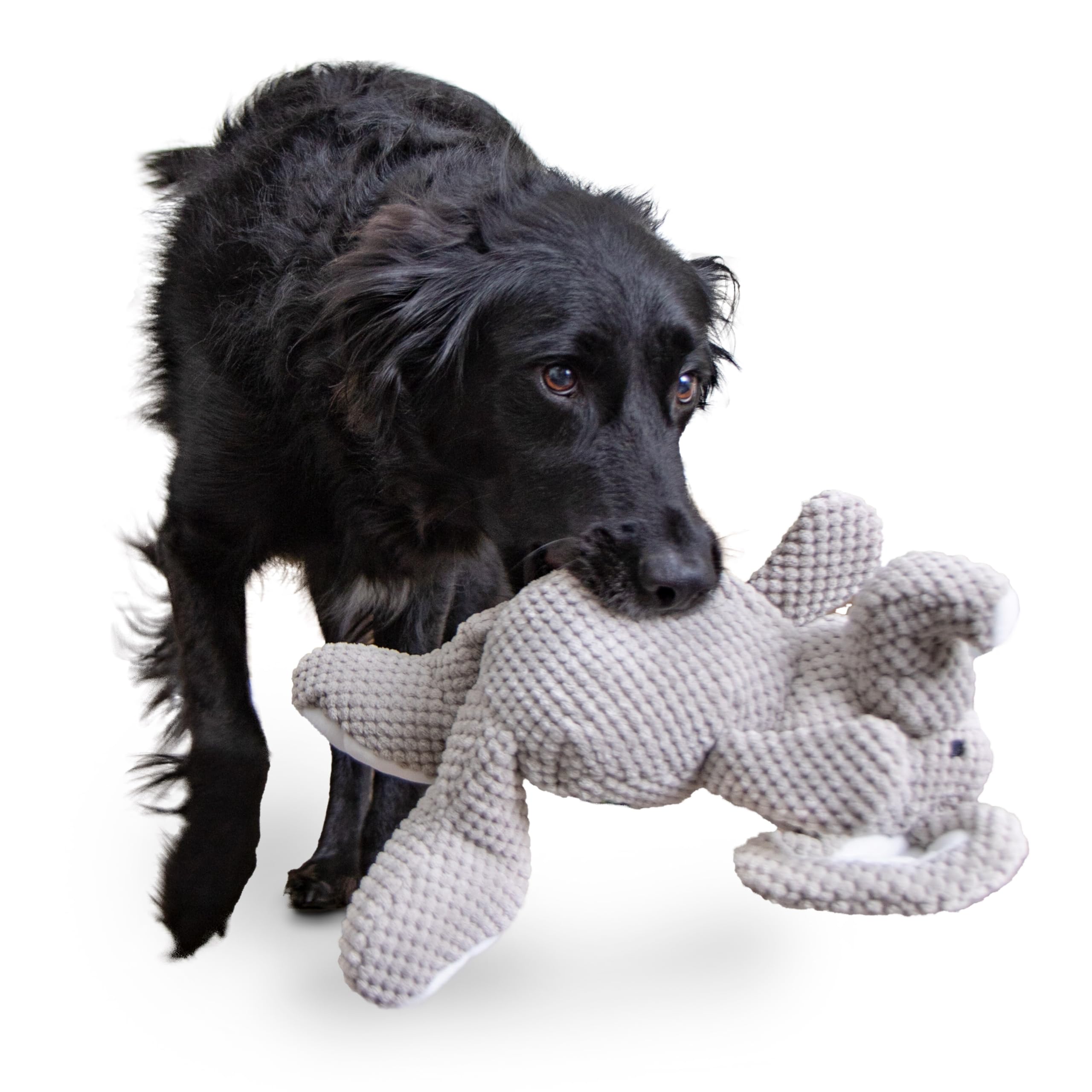 Conçu selon normes de sécurité pour jouets chiens, goDog Checkers Éléphant.