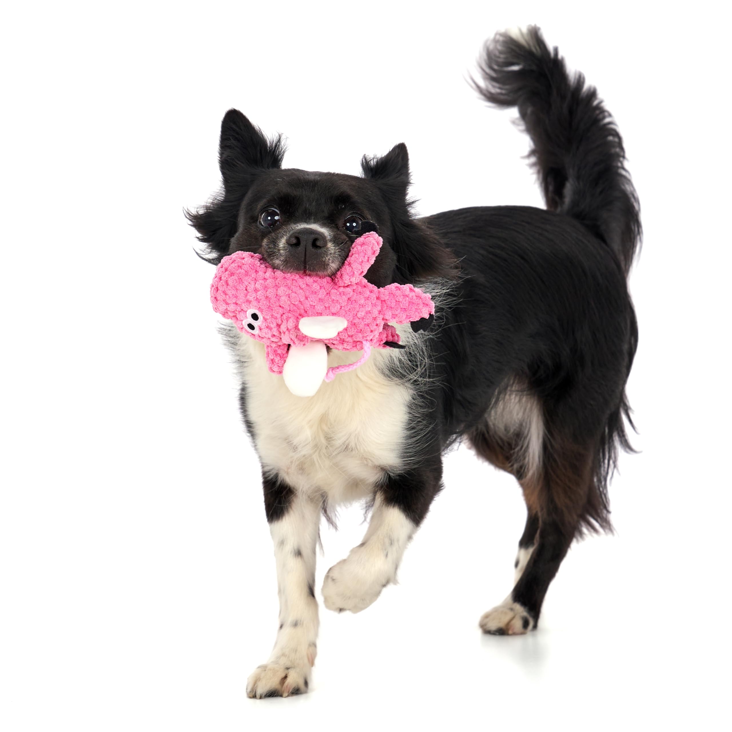 godog Checkers Mini design rose attrayant, parfait compagnon de jeu.