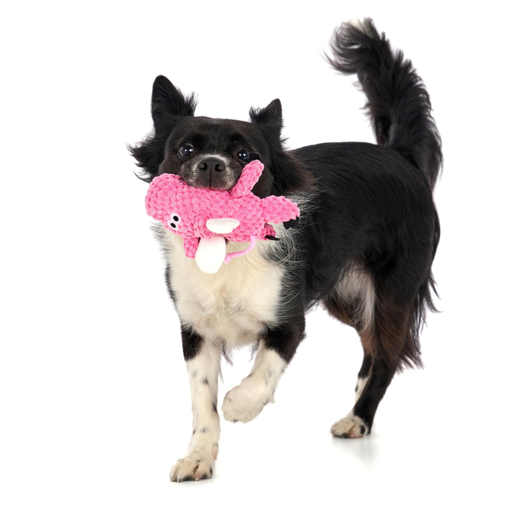 godog Checkers Mini design rose attrayant, parfait compagnon de jeu.