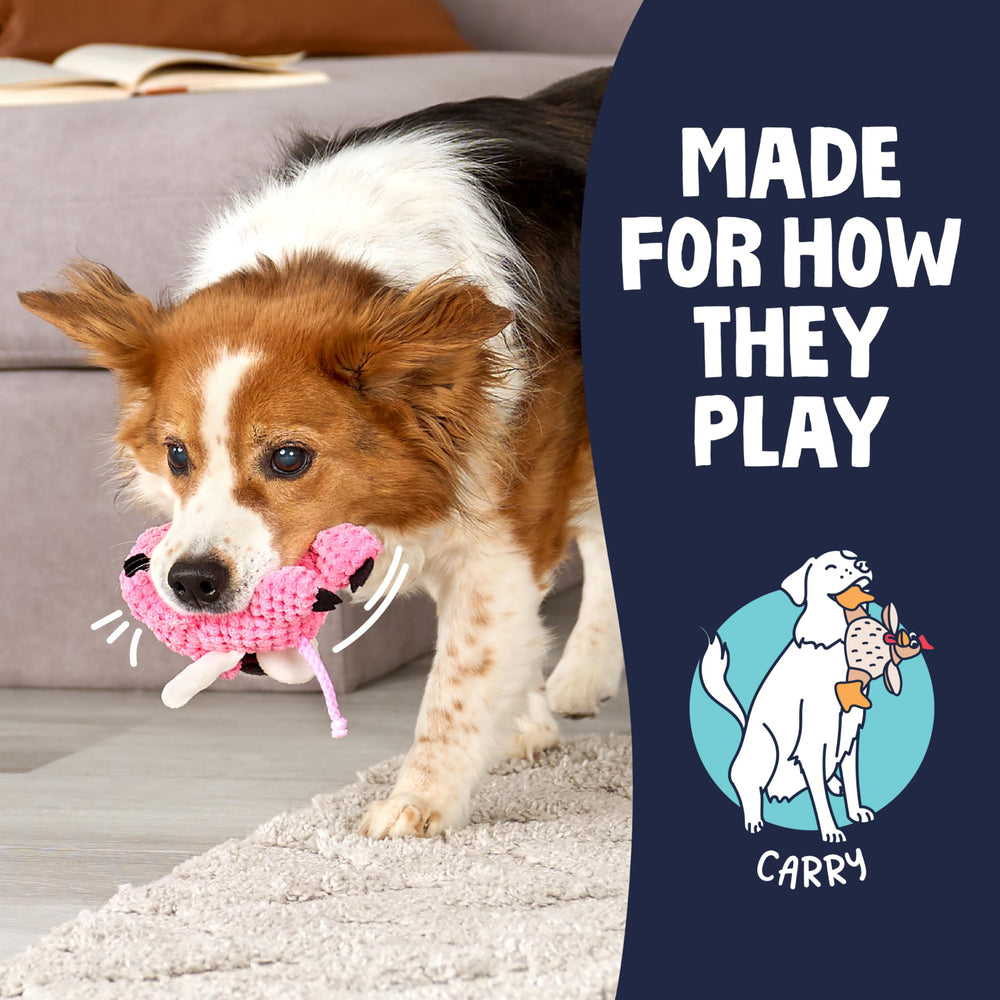 godog Checkers Mini forme compacte rose, facile à transporter et lancer.