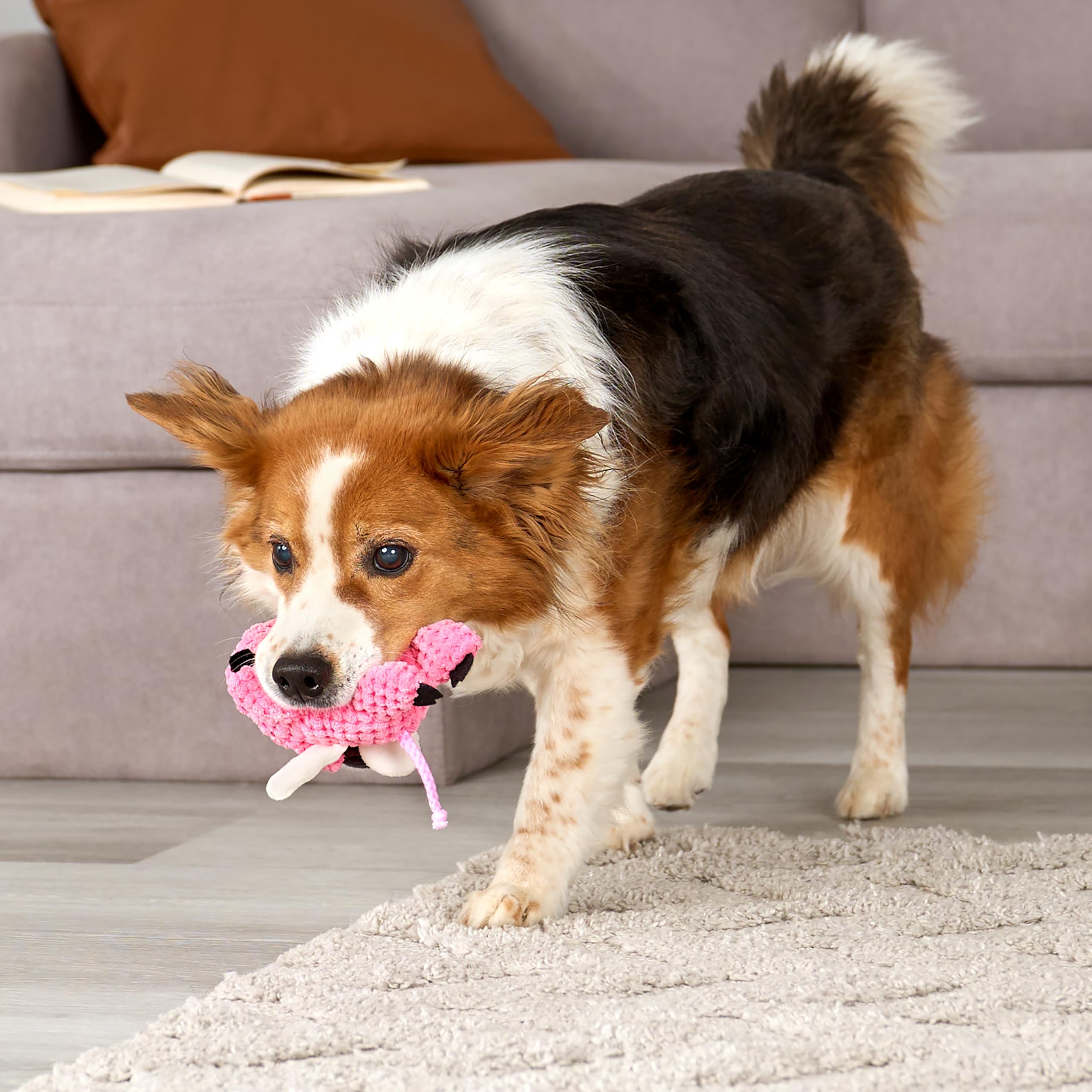 godog Checkers Mini jouet sûr, conforme aux normes sécurité.