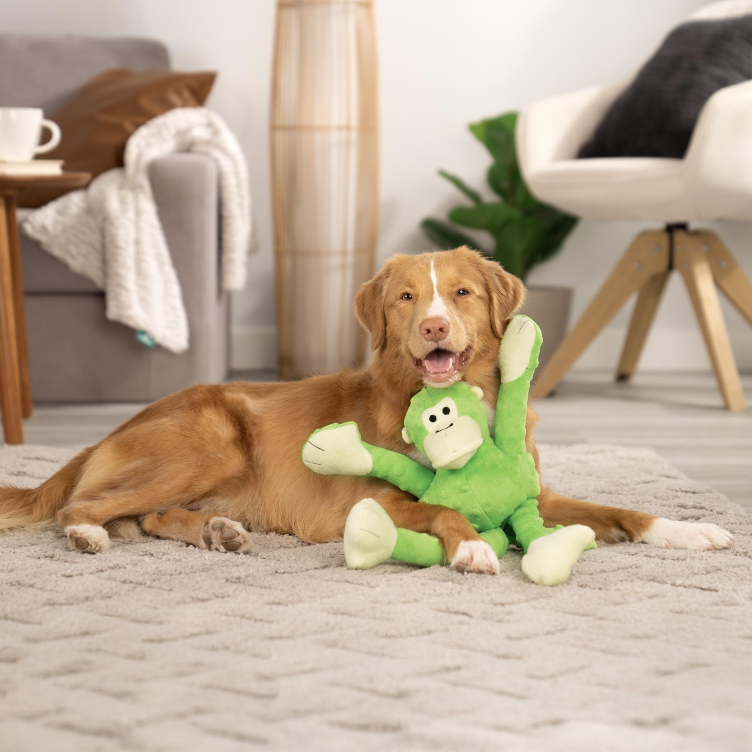 goDog texture-bubble-douce offre confort au toucher