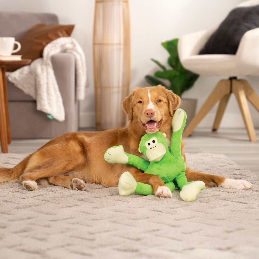 goDog texture-bubble-douce offre confort au toucher