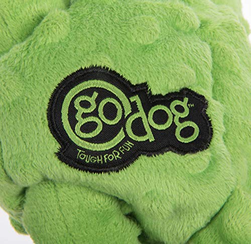goDog usage-plein-air adapté aux sessions extérieures