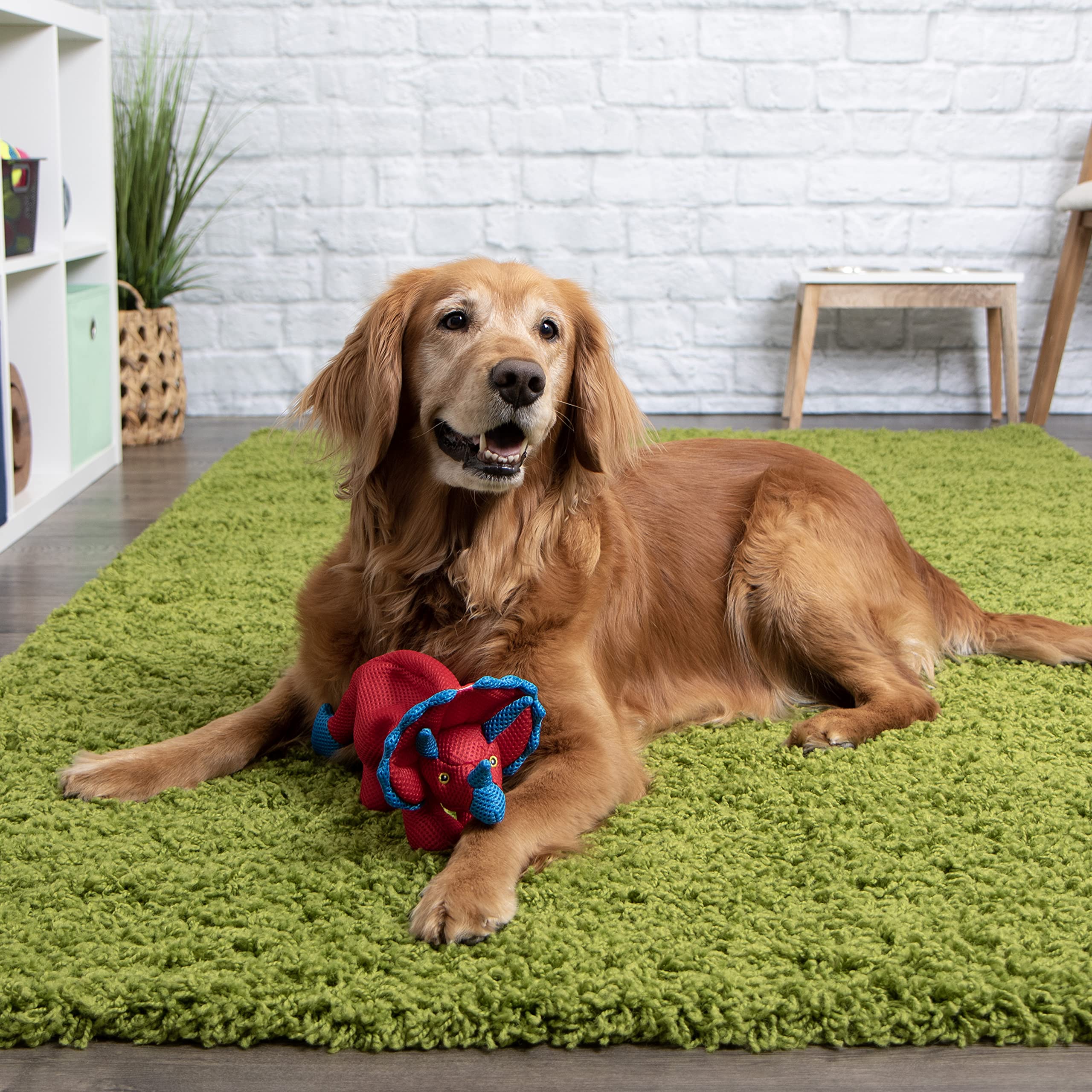 goDog Dino Frills : design résistant conçu pour les chiens qui mordillent.