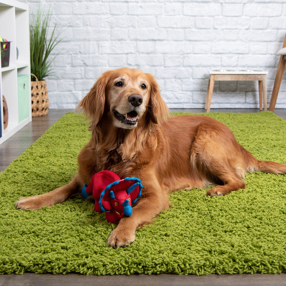 goDog Dino Frills : design résistant conçu pour les chiens qui mordillent.