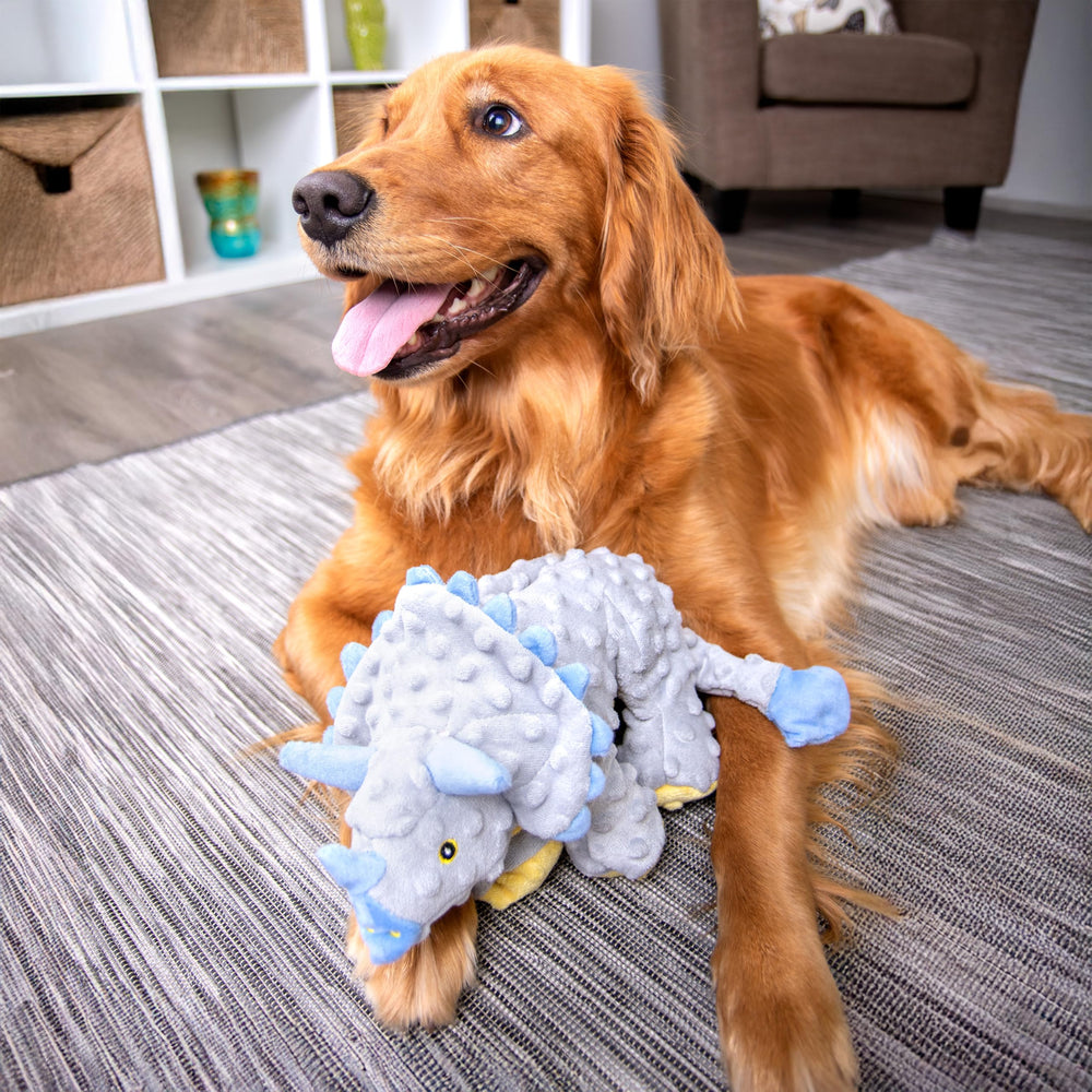 goDog Dinos Frills coutures renforcées et mesh quilté, résistance accrue.