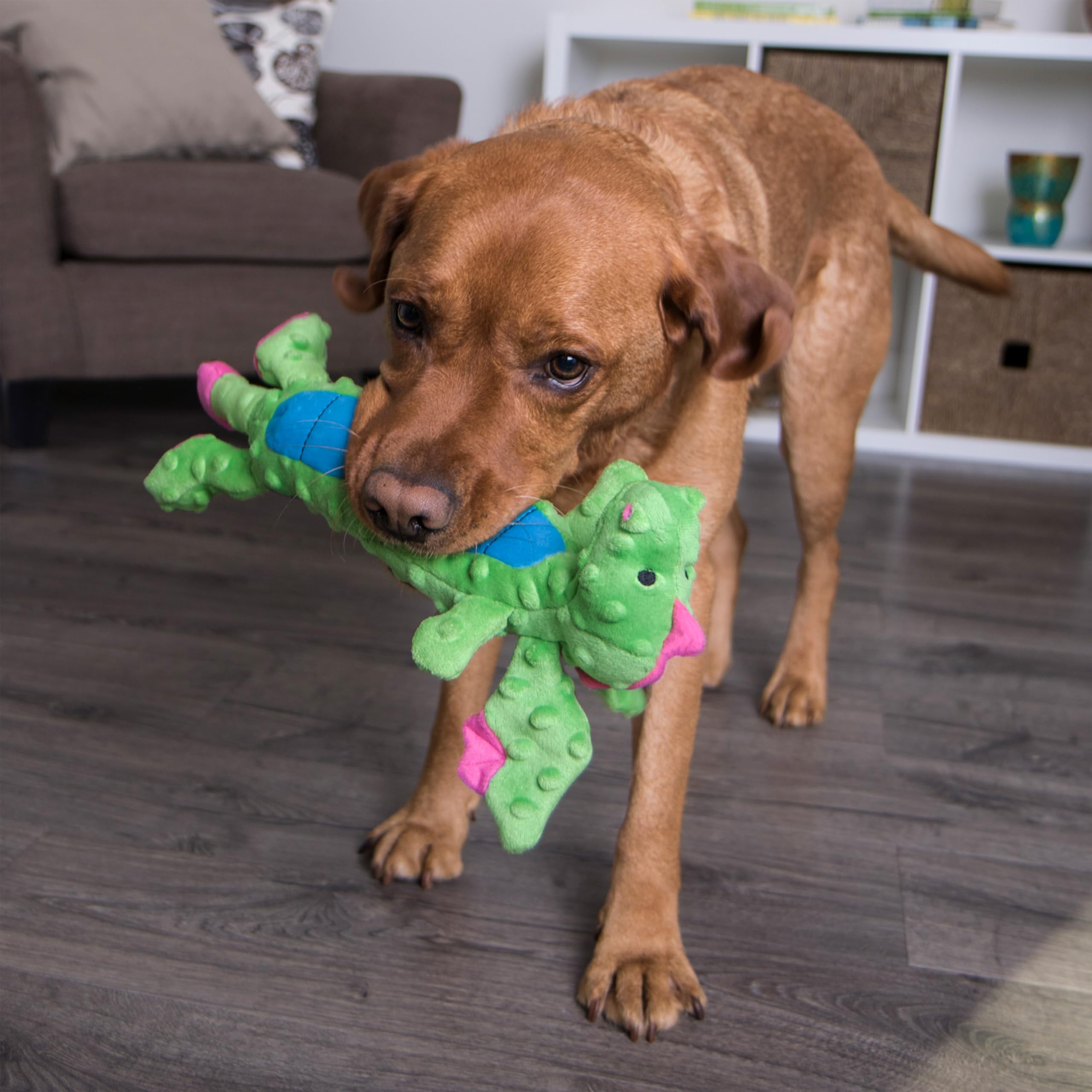 goDog dragon tissu doux vert, confort et douceur pour chiens