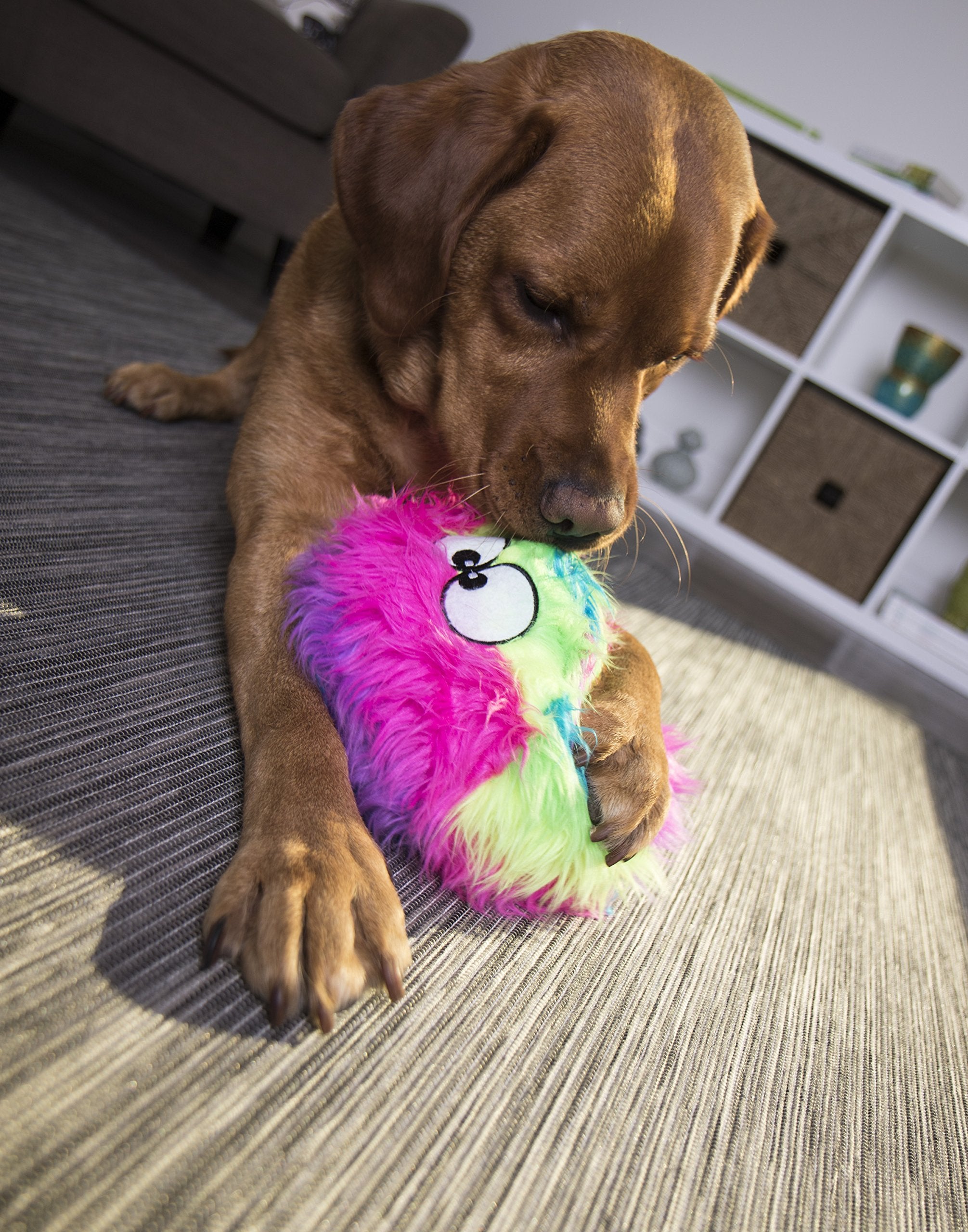 GoDog Furballz jouet interactif chien arc-en-ciel grand: parfait pour le jeu en duo.