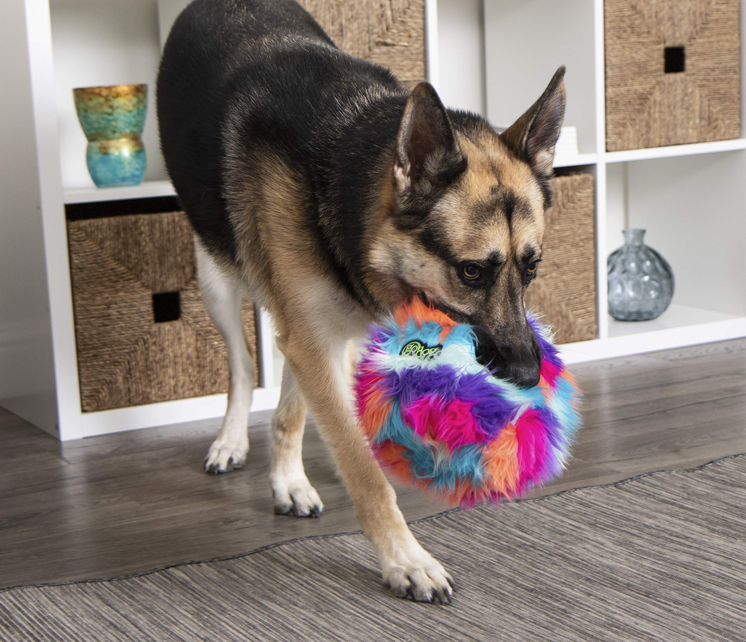 goDog Furballz: version grande destinée aux chiens actifs