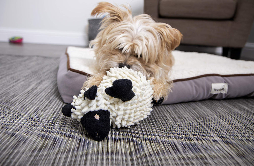 GoDog Fuzzy Wuzzy Lamb, technologie Chew Guard, durabilité accrue lors des jeux.