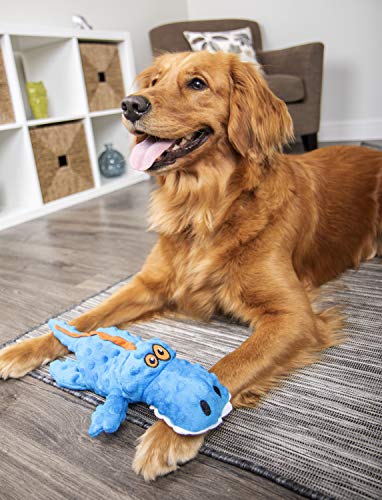 GoDog Gators design bleu, jouet durable pour chien actif.
