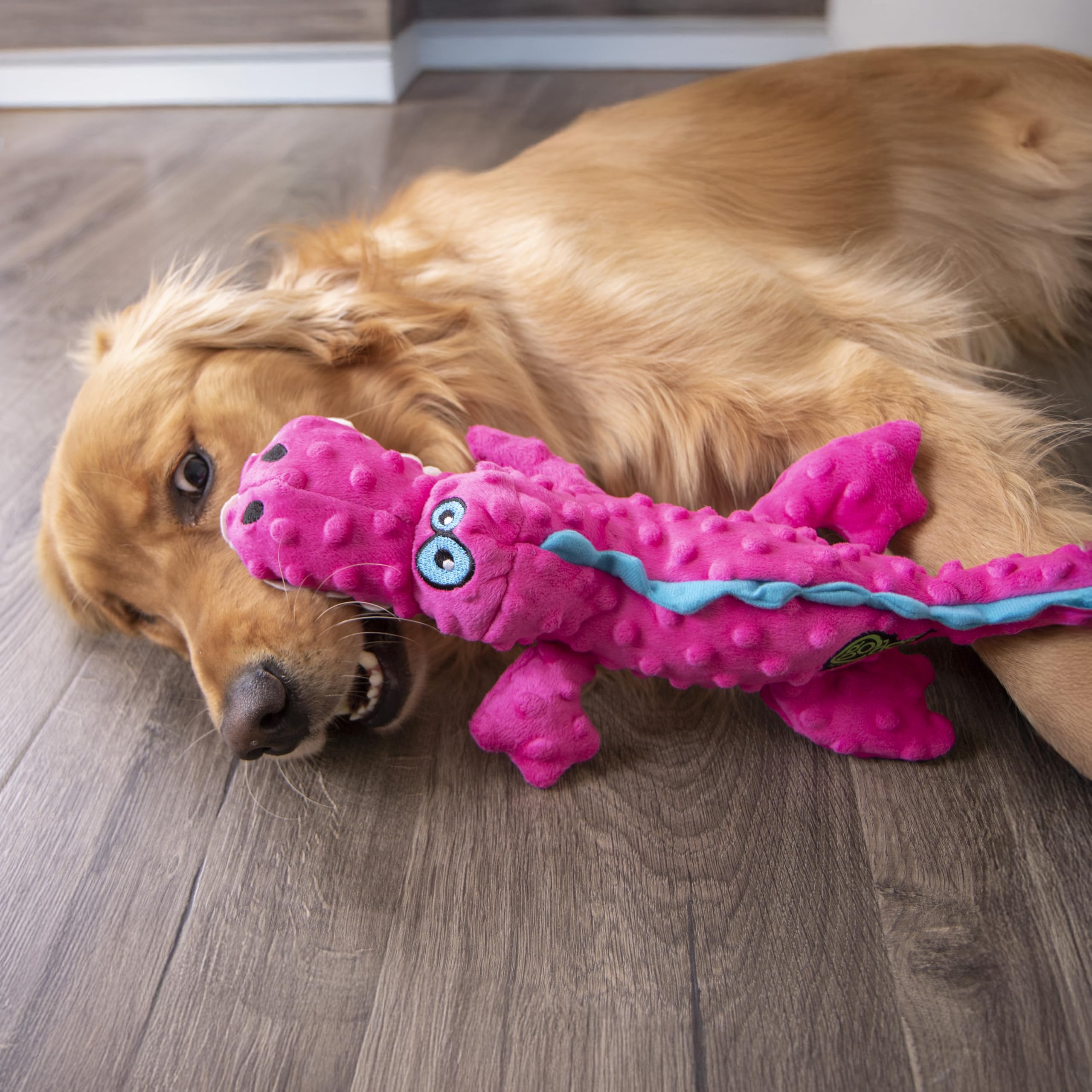 goDog Gators design rose attractif pour capter l'attention au jeu.
