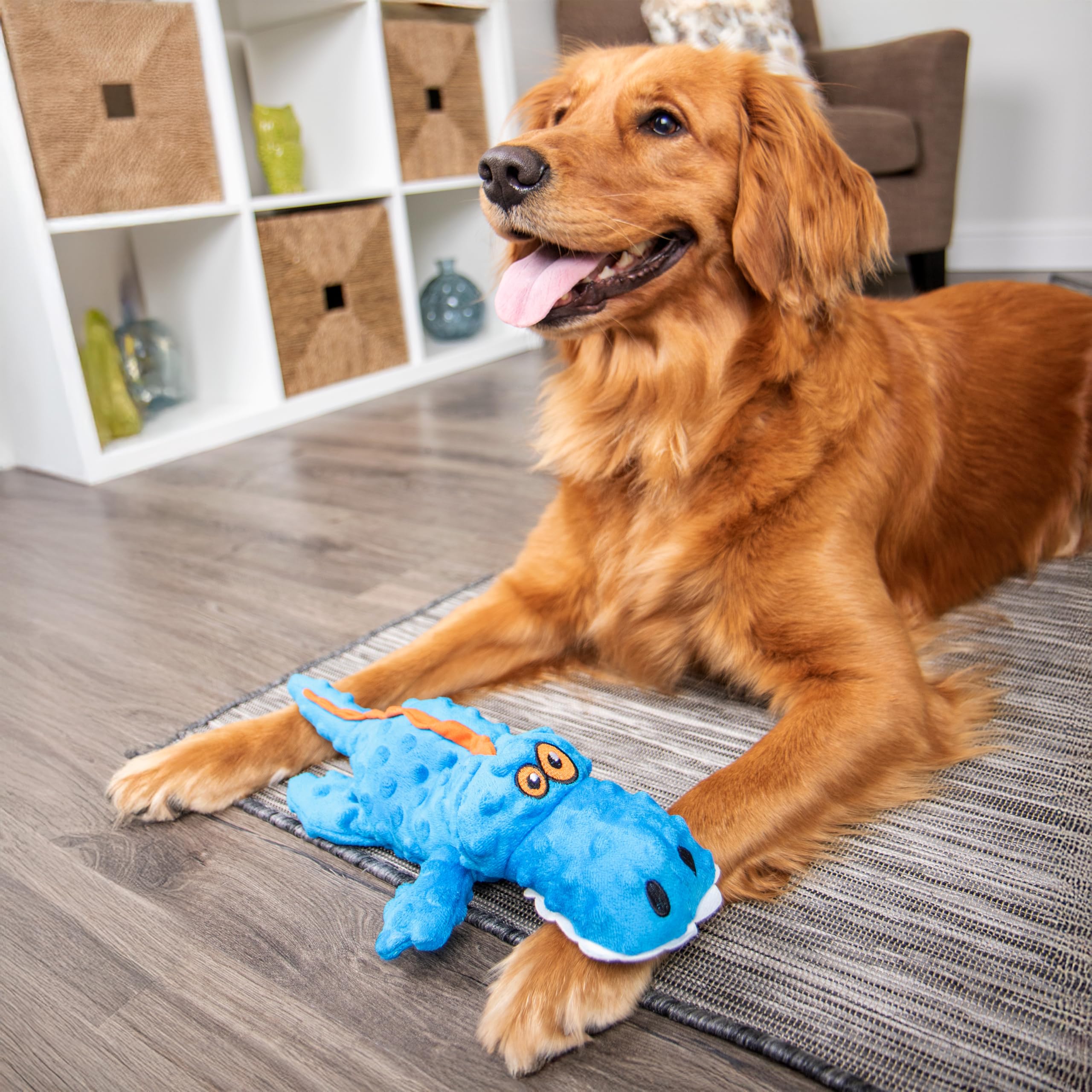 GoDog Gators nettoyage rapide, entretien sans effort.