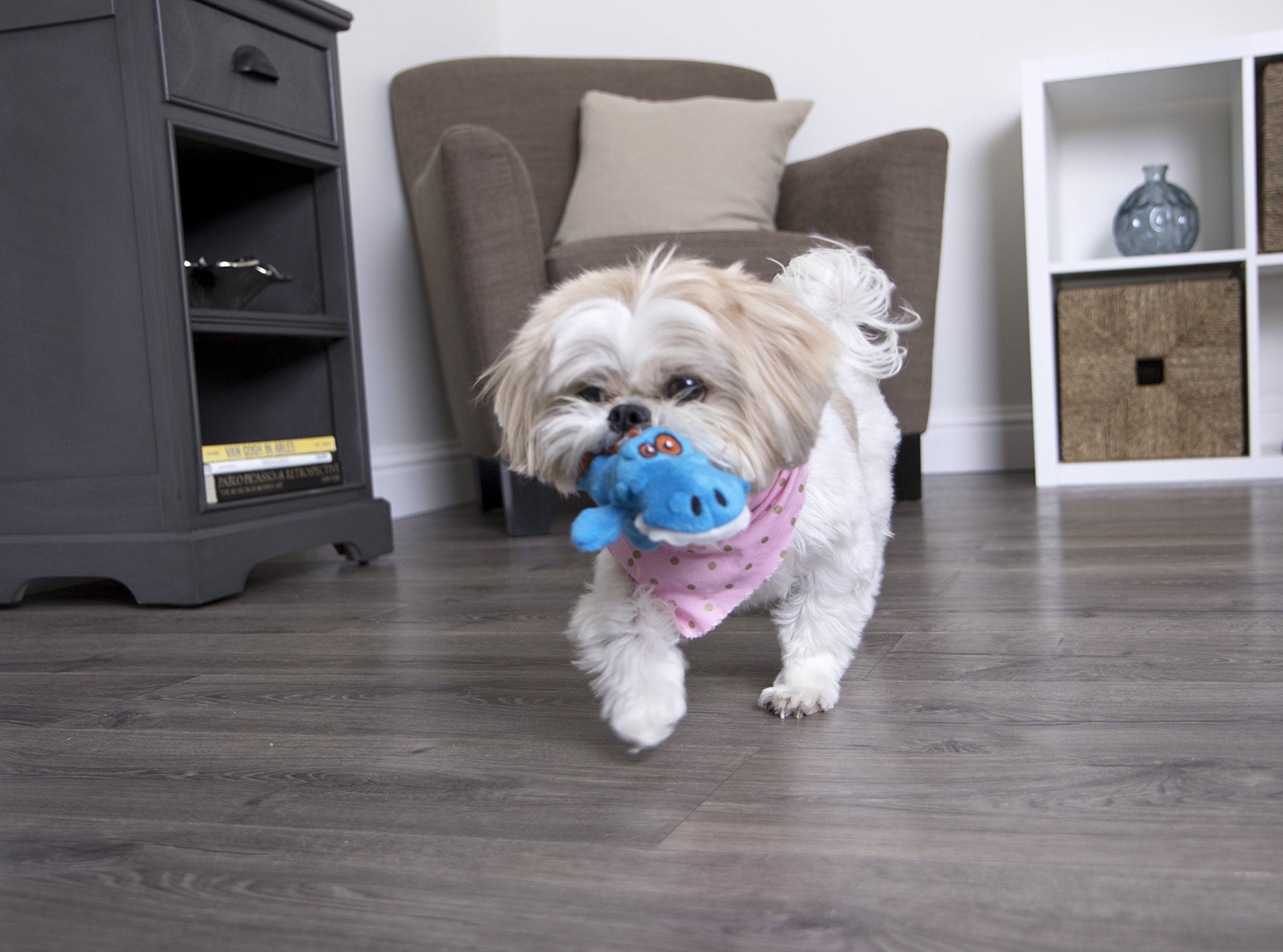 goDog Gator bleu: taille mini adaptée aux petites races.