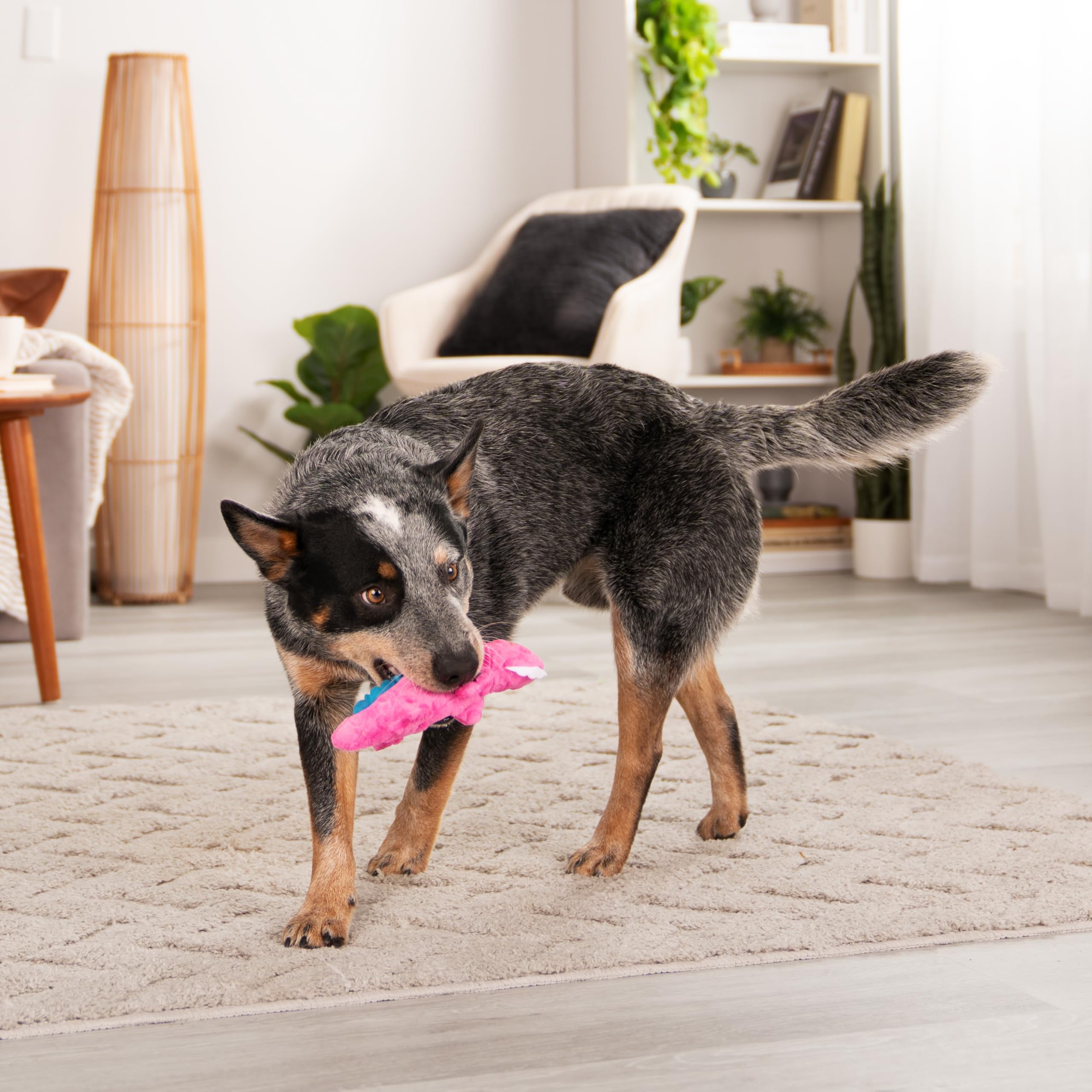 goDog Just For Me Gators, jouet polyvalent pour jeu interactif et solo.