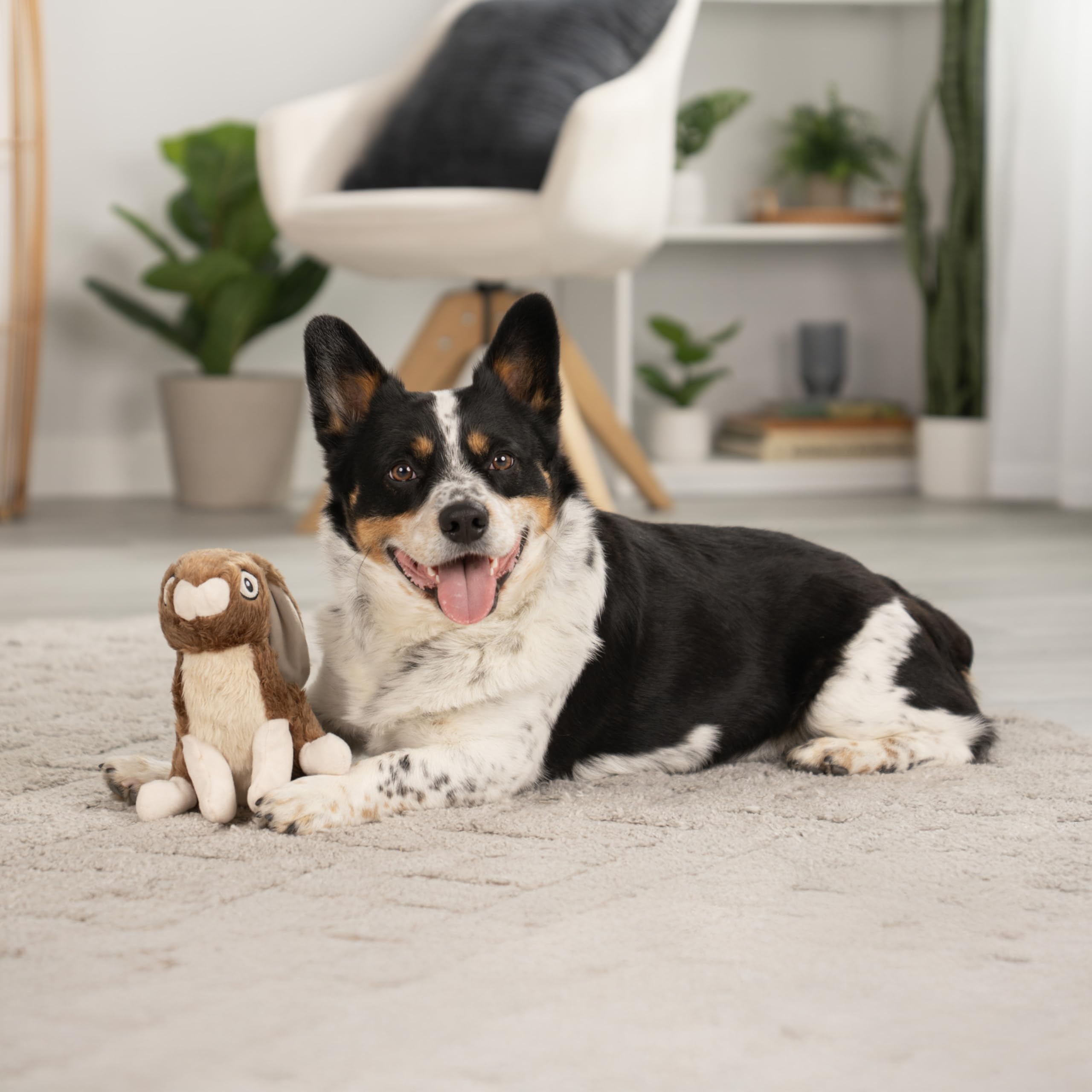 goDog Wildlife lapin-peluche-closeup-sifflet-integre, montre le son integre pour stimulation.