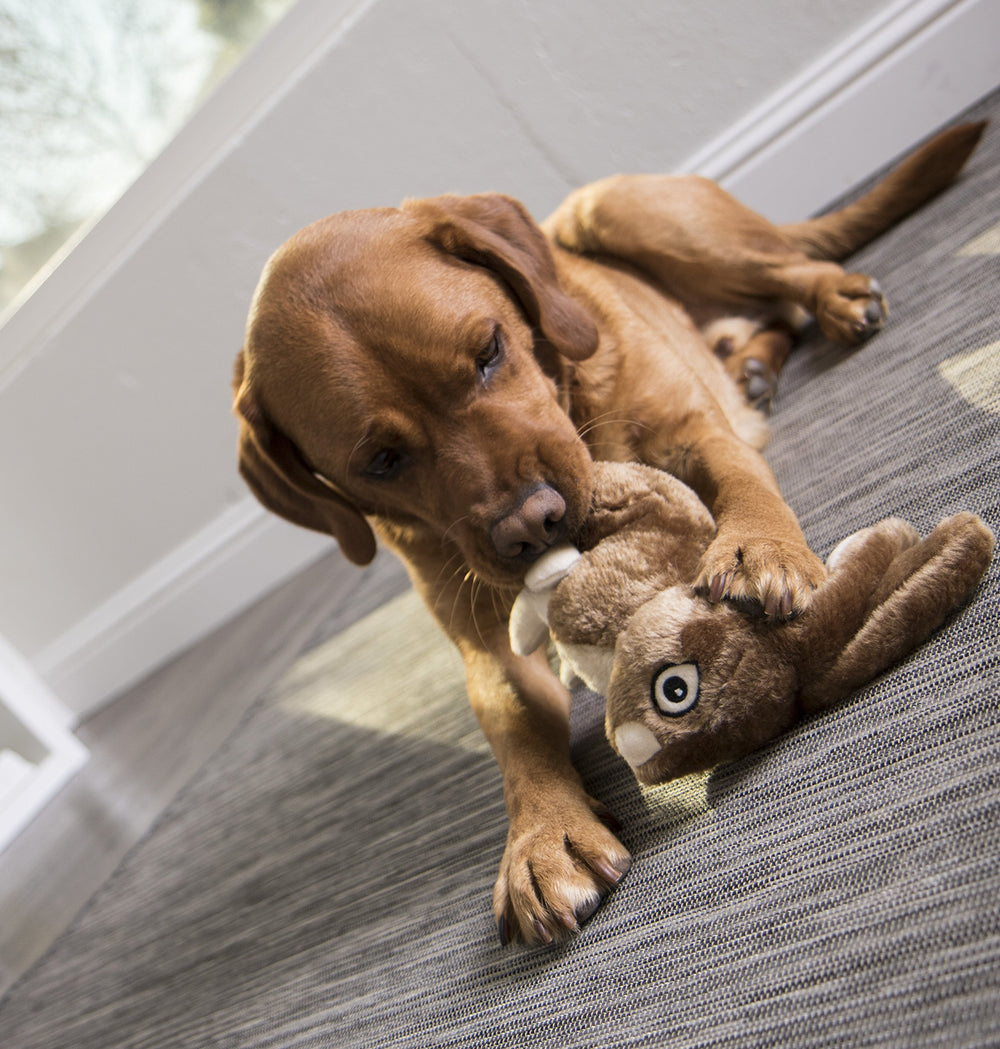 goDog Wildlife lapin-peluche-plein-volume, corps entierement rembourre pour des jeux dynamiques.