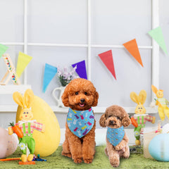 Bandana Gofshy accessoire festif pour photo de famille et animal.