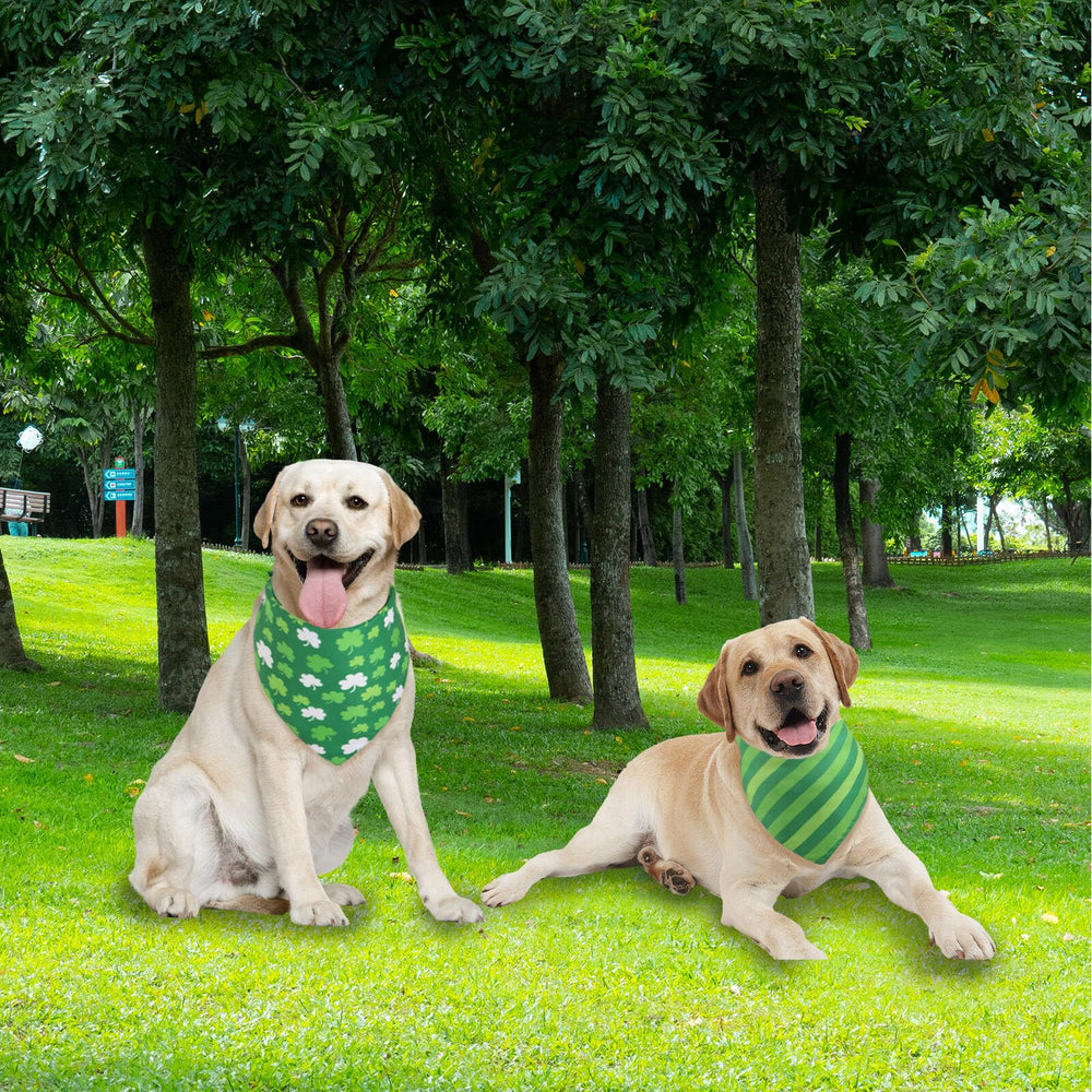 Bandana Gofshy prêt pour séance photo en famille, pratique et adorable.