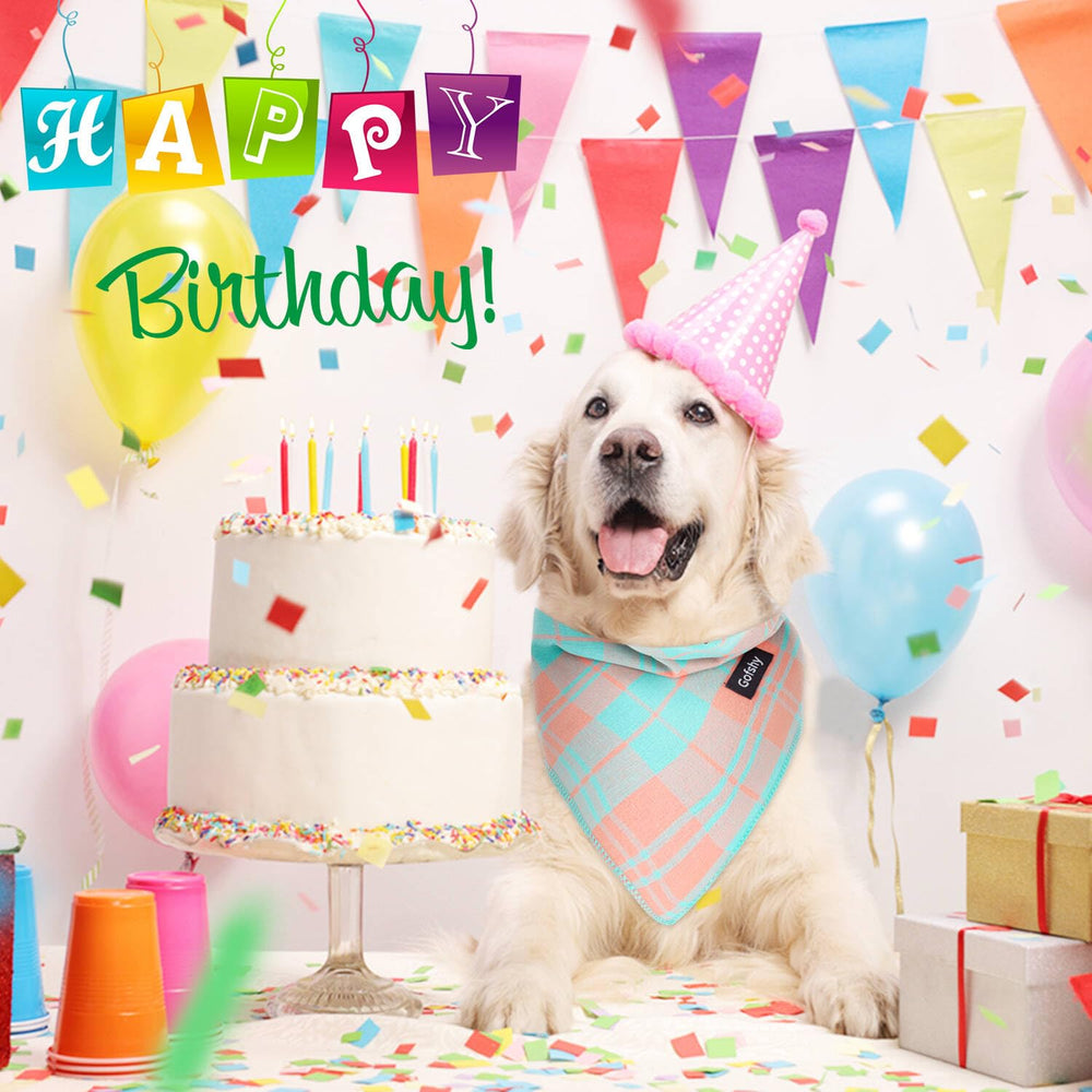 Bandana Gofshy en coton, lavable en machine, prêt pour fêtes et photos
