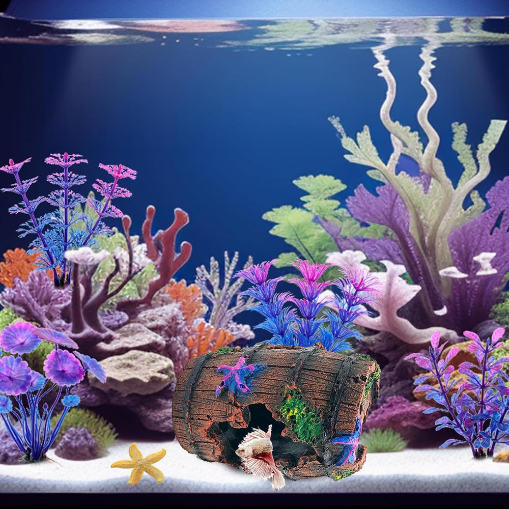 GOFYLIN Etoile mer décor ensemble aquarium vue 2