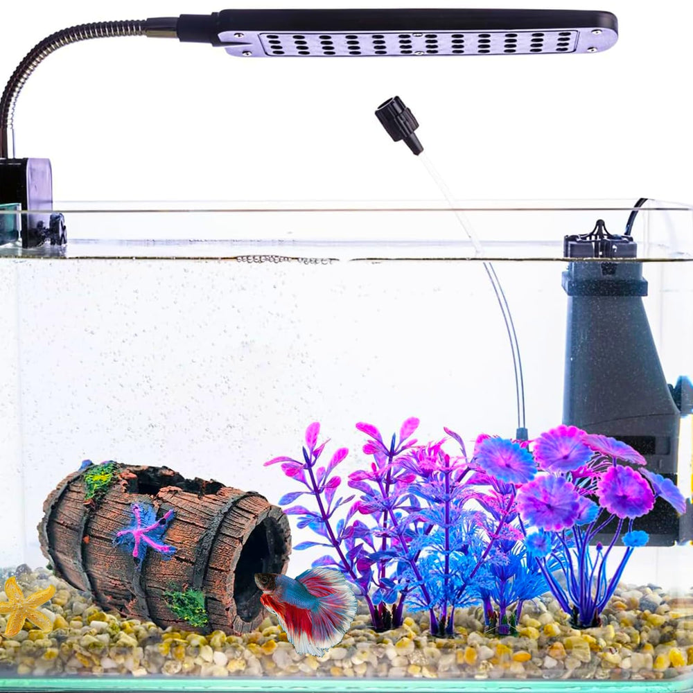 GOFYLIN Plantes aquatiques x4 cadre naturel et couleurs vivaces pour l’aquarium