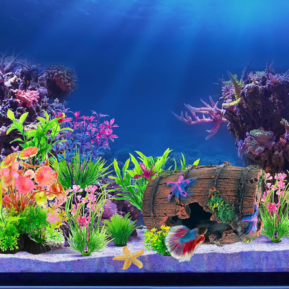 GOFYLIN Plantes aquatiques x4 apportant ombres et reflets dans l’aquarium