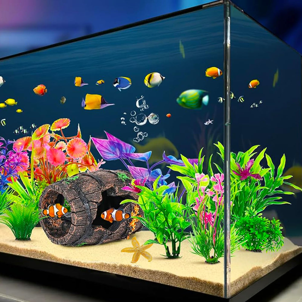 GOFYLIN Etoile de mer décor aquarium détail naturel et touche marine