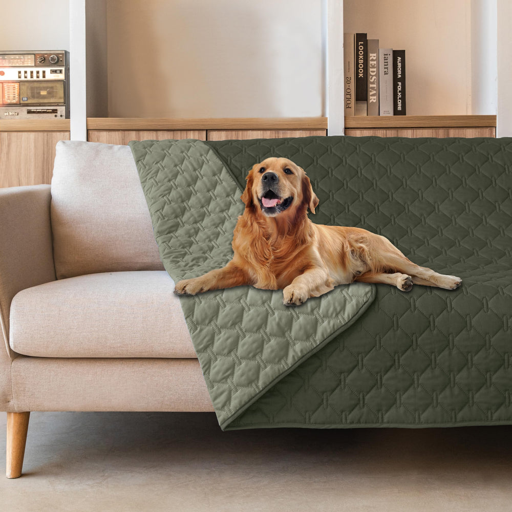 Gogobunny couvre-chien imperméable double-face olive 82x102 protège le canapé.