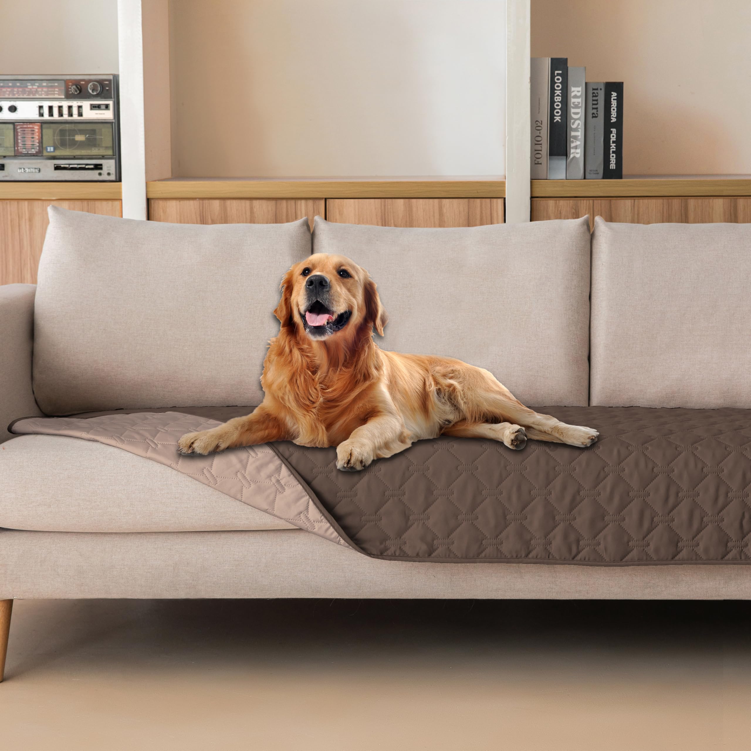 Couverture gogobunny imperm éable pour chien, double-face, pratique en extérieur