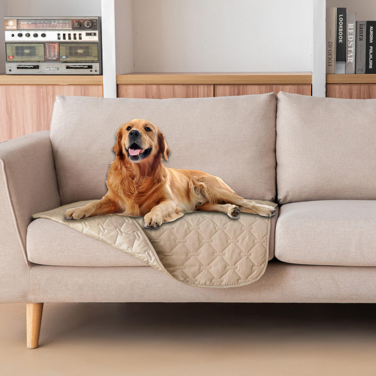 Gogobunny couverture impermeable pour chien et chat protege vos meubles.