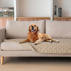 Gogobunny, couverture imperméable 3x plus robuste, protège les meubles des griffures.