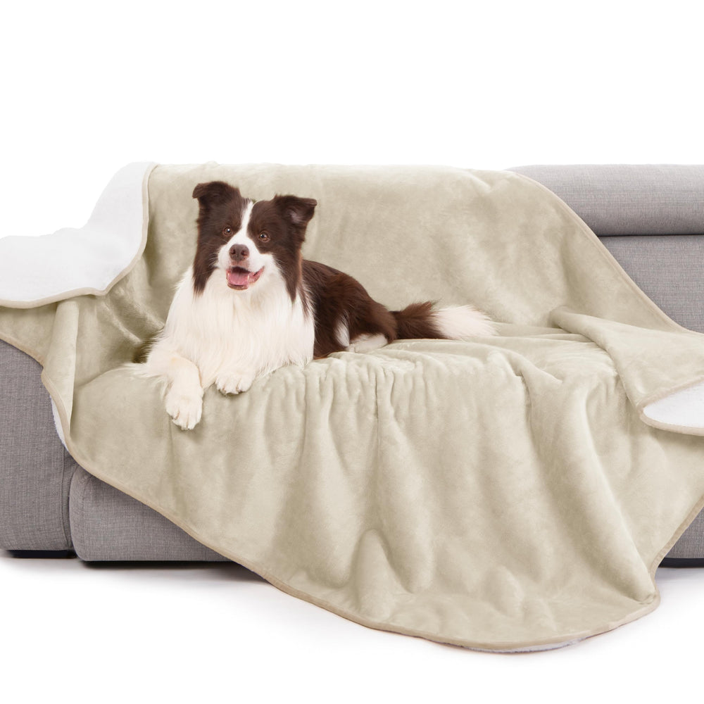 Gogobunny Couverture imperméable crème sur lit, protection contre liquides et poils.