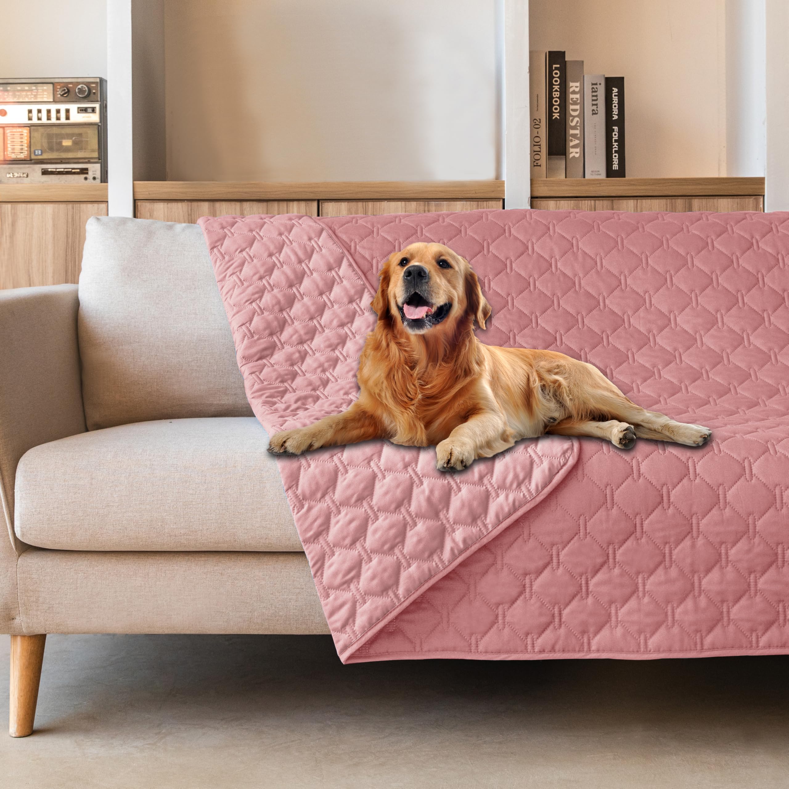 Couverture gogobunny sur canapé, protection contre griffures et accidents domestiques.