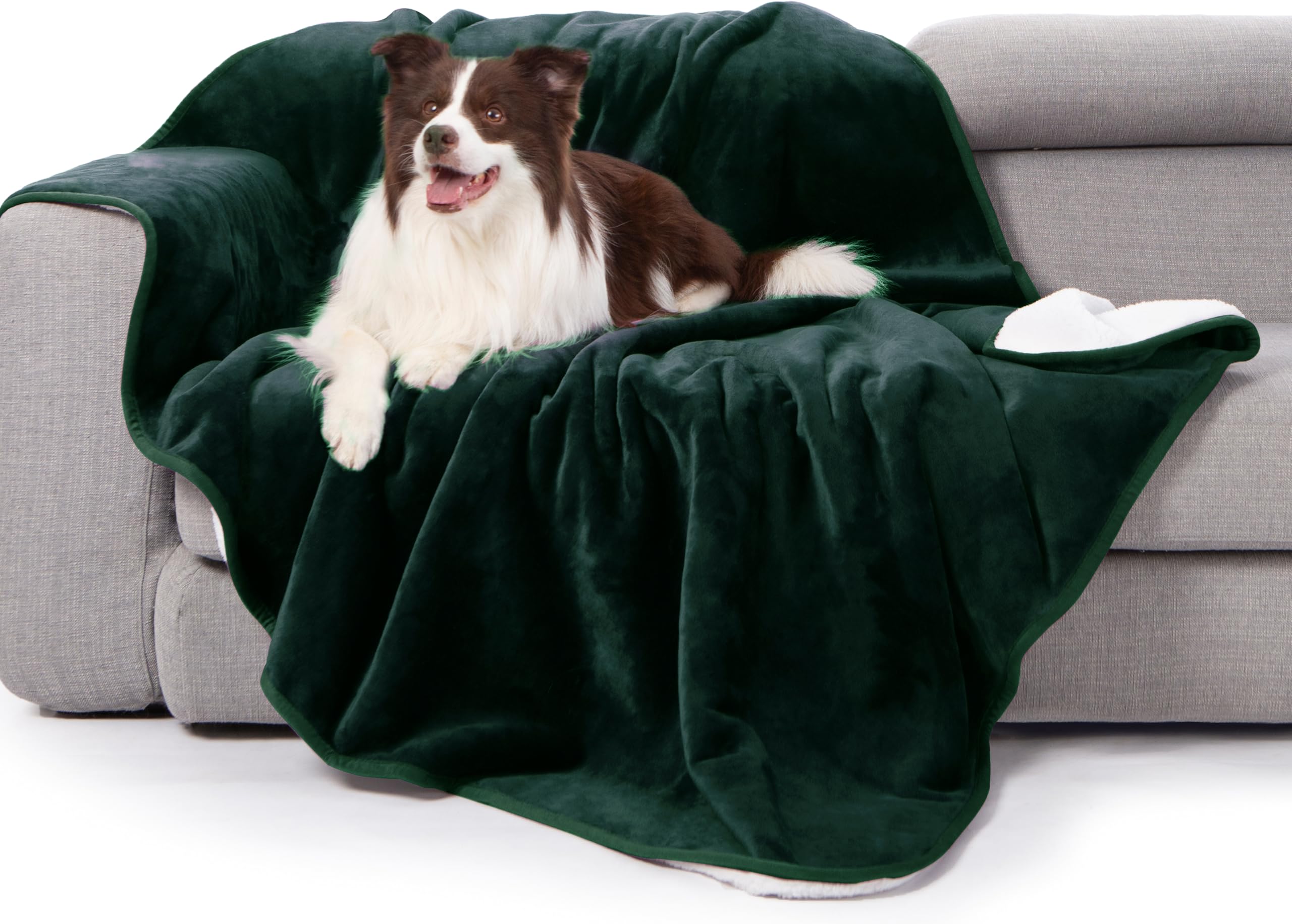 gogobunny Couverture-lit imperméable forêt verte 50x60, protège contre les déversements.