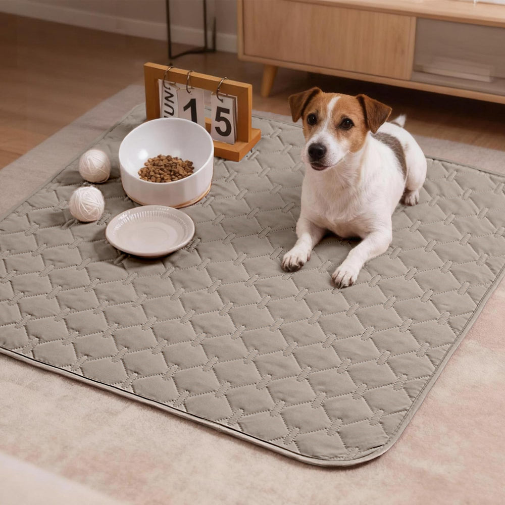 Couverture gogobunny taille 76x76 cm adaptée chiens et chats.