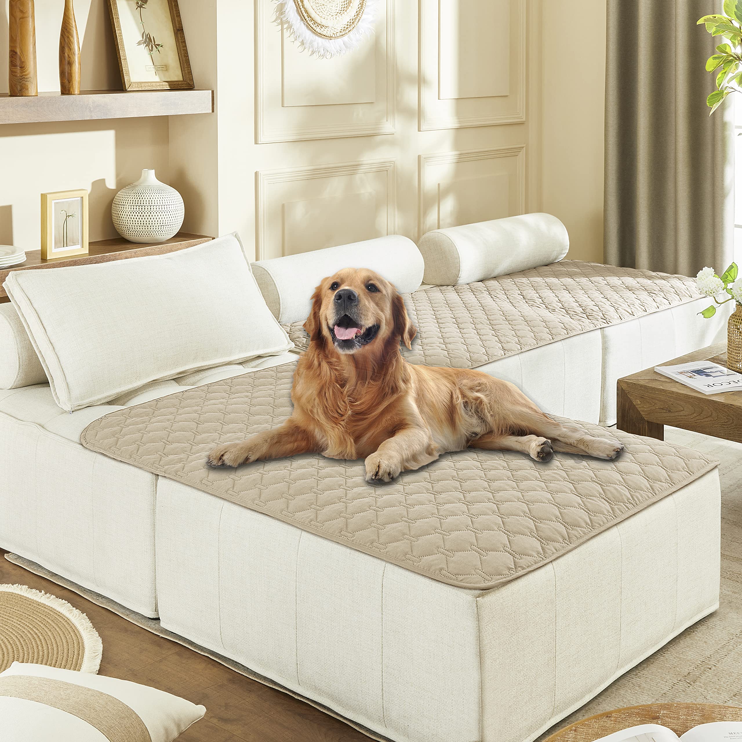 Housse gogobunny impermable double-face pour chien sur canapé, protection durable.