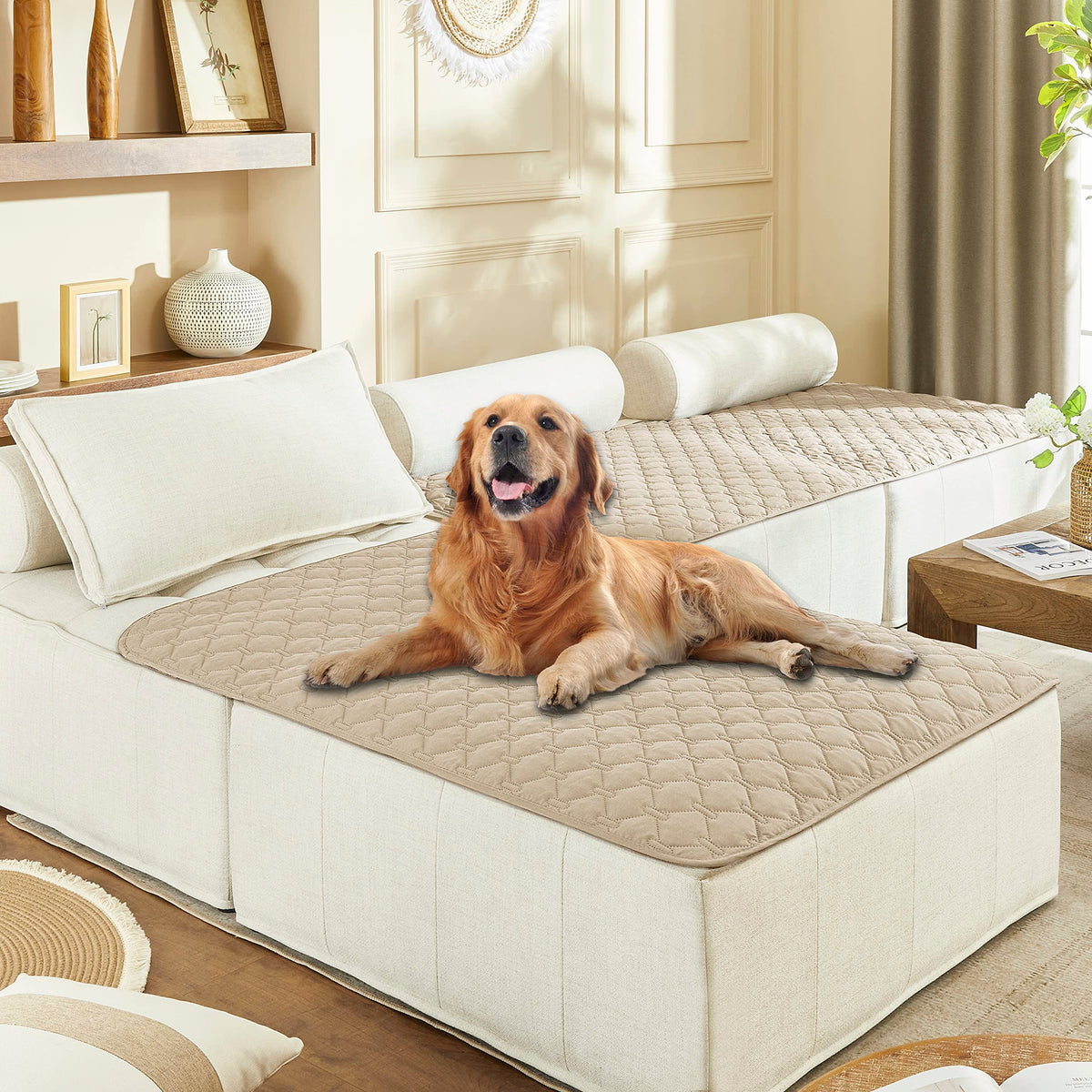 Housse gogobunny impermable double-face pour chien sur canapé, protection durable.