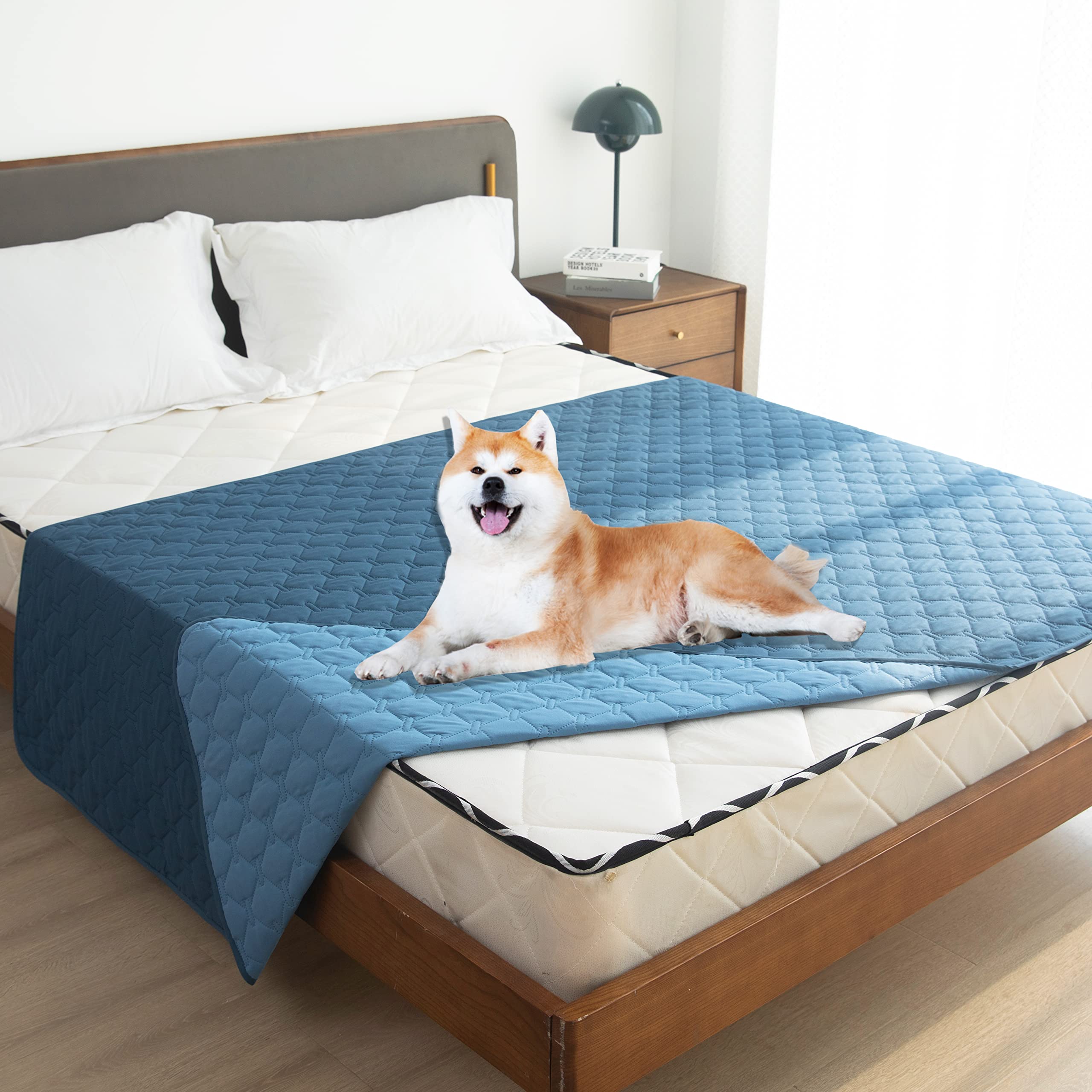 Housse gogobunny imperméable pour chien avec plaid bleu clair, réversible.