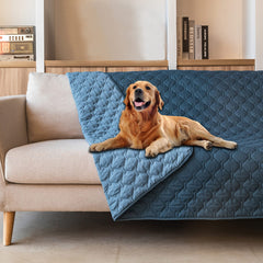 Housse gogobunny imperméable pour chien avec plaid bleu foncé, protection durable.