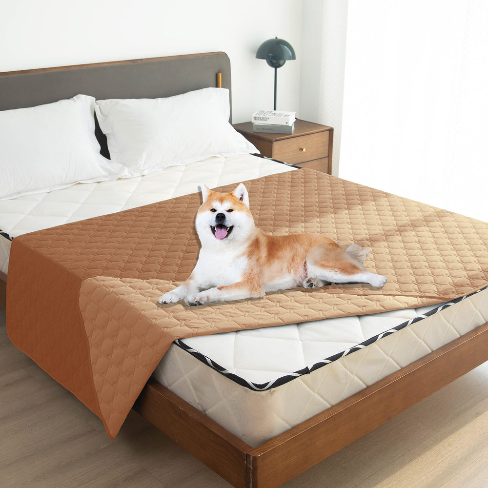 gogobunny taille 52x82 pouces pour grands chiens et chats