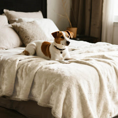 Gogobunny Utilisation chien crème sur lit, protège après les promenades.