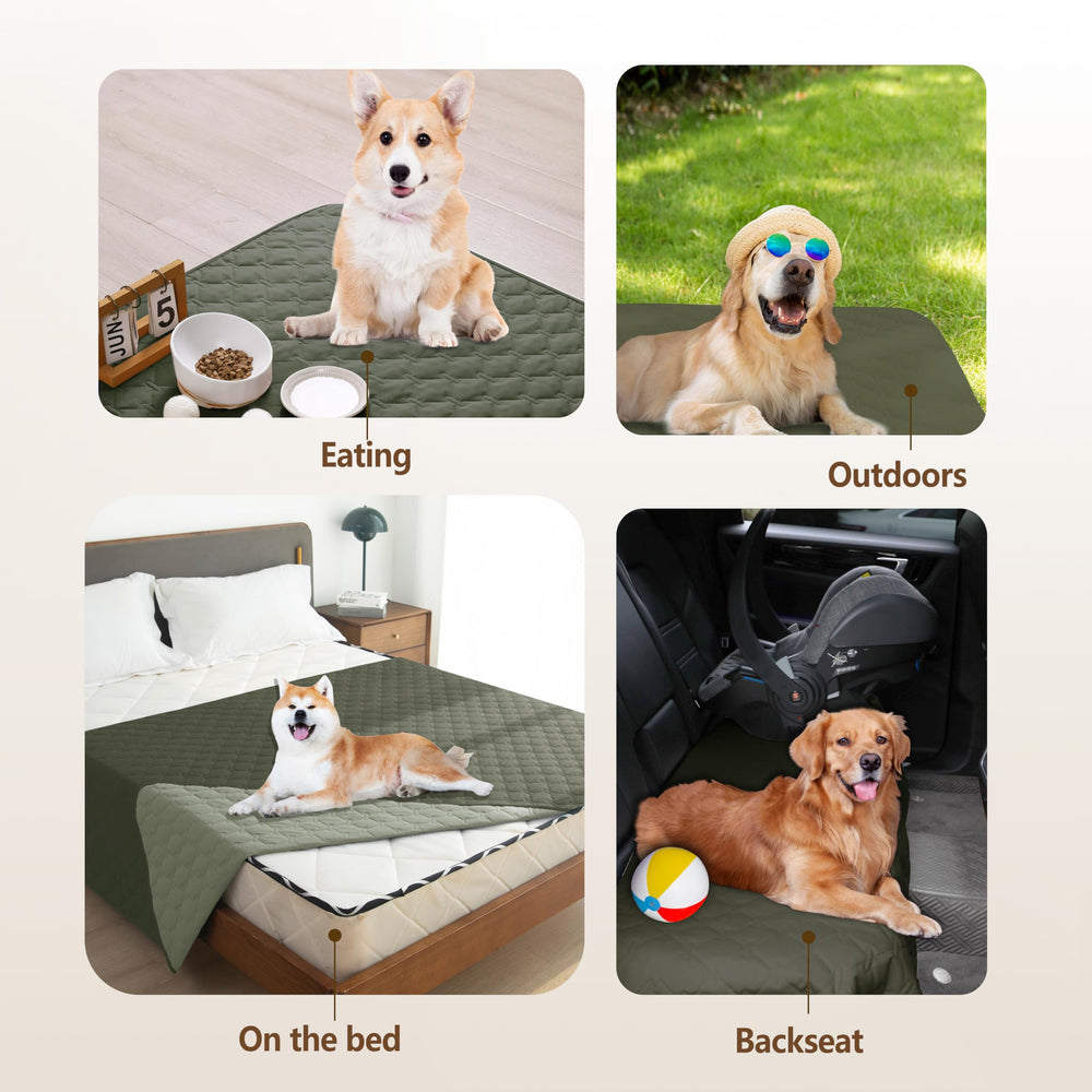 gogobunny: utilisation intérieure et extérieure, facile à transporter