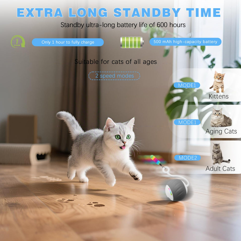 Jouet Gogodogya chat rechargeable USB-C pour sessions prolongées.