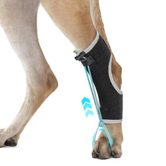 GoGoPaw Attelle anti-knuckling pour chien – aperçu avant avec soutien stable.